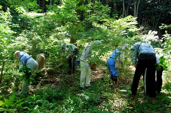 自然共生社会の実現 | 企業・IR | ノーリツ